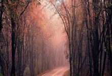 kaiyun官网 -德甲单场：拜仁大胜十人门兴